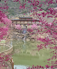 �Ϫ����ӣ������