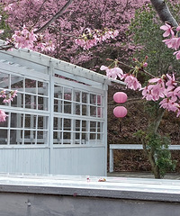 �Ϫ����ӣ������