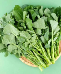 20Ԫ/��ġ���������ˡ����ˣ��ǲ˻���ҩ��