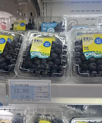 9.9Ԫ����Ҫ���������㽭���ѣ������԰�