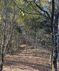 ̽���Ϫ��Դͷ���ɾ�����ɽ�������