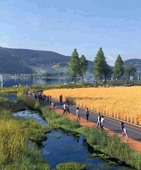 ������������̬������Ŀ�������ˣ�