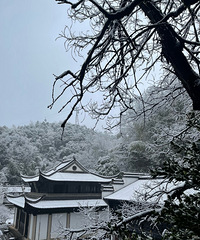 ��ãʱ���������Ź�������ú�ɽ