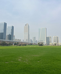 ��ϣ�������ܳ�Ϊ̨�ݵ��伪��ǣ�