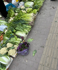 ·��̯���Ĳ������ũ���Լ��ֵ���