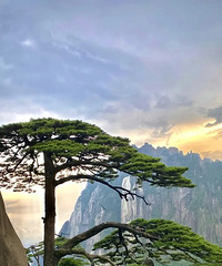 90�걱���ˣ��о����ٺ���������ҵ���з�������