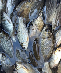 ������㳱�����ص��������Щ