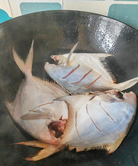 �������ʲô���������ǳ�����ļ���