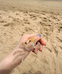 �������㡱�����÷��ģ��������ѣ����ѣ��˼�����