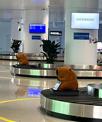 ͻȻ����̨�ݻ�����������������Ȧ���ˣ��»�����ޡ�