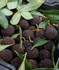 300Ԫ/���Ԥ��һ�գ����ѣ�������ô��