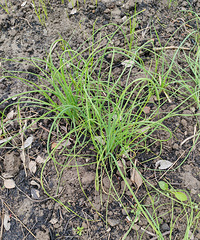 ��Ұ�˵ļ��ڣ�Ϊʲô��ЩҰ�˱����˲�Ҫ����˺�����