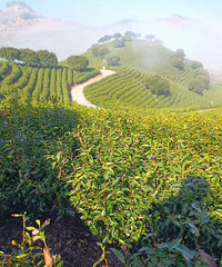 �ߴ�2000Ԫ/���������̨������ס��Ҫ����