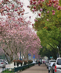 ̨�ݸ��ǵĴ���