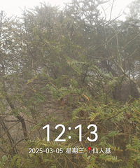 Ũ�����Ʒ�������ֳ����˻��泤ɽͷ������ƺˮ���¸�Ҥͽ��