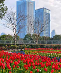 ̨�ݱ����ͻ�����ȫ�ϼ����ղ���һ���͹�