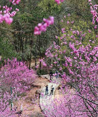 ̨�ݱ����ͻ�����ȫ�ϼ����ղ���һ���͹�