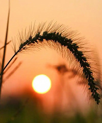 ����һ��������18w+��Ѱ�����൱���Ը��ʵ���ʿ