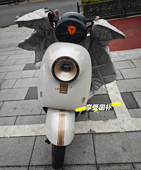 ���Ϲ��ҷ����綯������ʵ��̫����