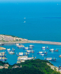 738.15��Ԫ��̨�ݺ����ҵ�ܳ����������ٶȡ�