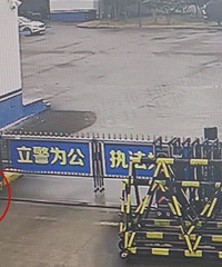 ���¡������Լ����ɳ������������С�ë���ӡ��ıؿ�