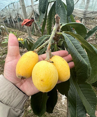 ̨�ݲ�������һ�������У�