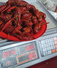 ����˵˵���ڽ���������Щ���˵�ȫ��������Ϻ�ݣ���