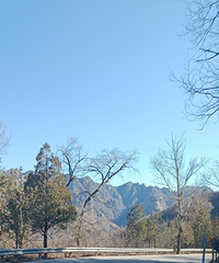 һ��һ��ȥ����������ԭ֭ԭζ��Ұ���Ǽ��۳���