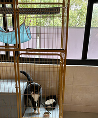 ������Է�������ߣè��ը������ܺó�