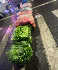 ��ͨ�����ͦ�ѵģ����ϰ˵��ӾͿ�����ũ����������