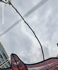 ������������Щ��������ģ������������