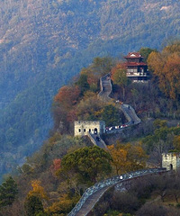 ��̨���в��������ɵ��ӣ�