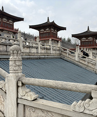 ������-D2