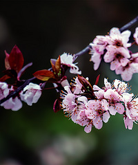 ��b������