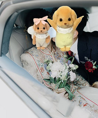 [����ռ�]����ϲ��ץ�ĺͽ�Ƭ��û�й������ǵ�����