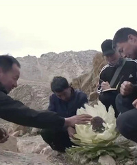 ��̫���ˡ���30Ԫ�Ķ�����350Ԫ����ؽ�ͷ�ѳ��֣�