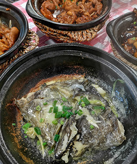 �������ʲô����ȥ�ٺ���ɰ����