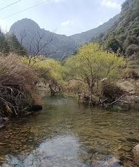 ��ĩȥС֥����һ�£��þ�û�����ˣ�ͦ�����ˡ�