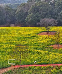 ���������ֱ��25�棡̨��������ӭ��ת