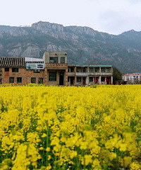 ���������ֱ��25�棡̨��������ӭ��ת