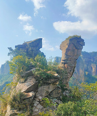 �㵴ɽ�𼦷�����β��