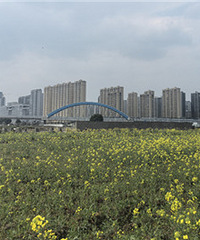 ����������г�