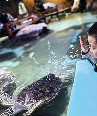 ȥ����ݿ�������