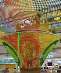 ��֪��˭������������˶����ֳ�