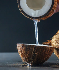 ̫�ݣ�������9.9Ԫ���������ˣ��Һ���