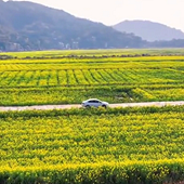 ���ĺ���