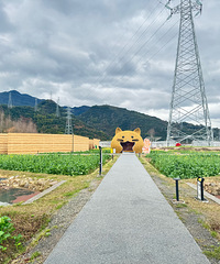 [����]����ʯ�ߣ��ϰ�˵�ȳ�������ÿ�