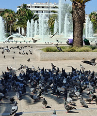 �º�Ĭ�������㳡���ȴ�����ʮ��