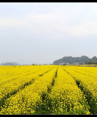 ��侲˻��ơ�������ɽ�����ɽ����Խ