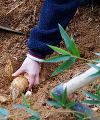 ɽ�����������ʫƪ��һ�ڳ������ϴ���